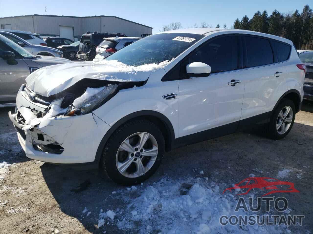 FORD ESCAPE 2016 - 1FMCU0G95GUA31992