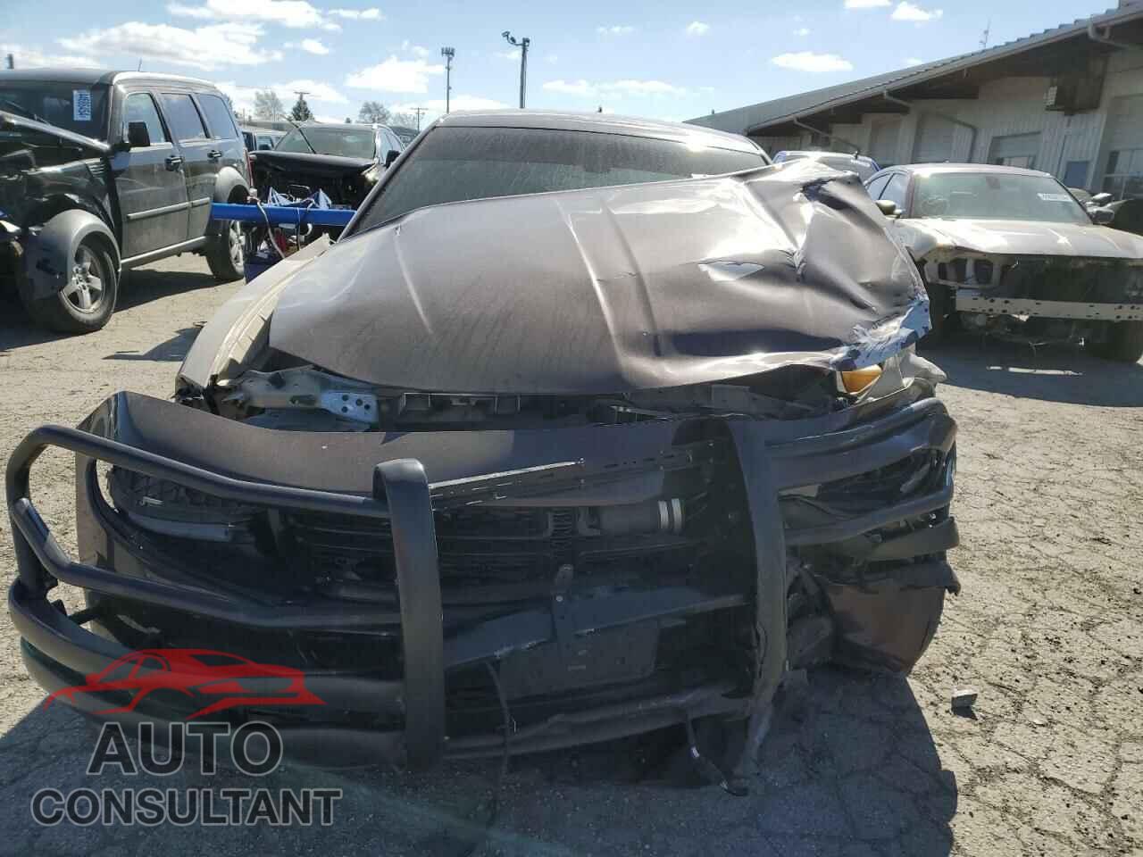 DODGE CHARGER 2019 - 2C3CDXKT2KH683842