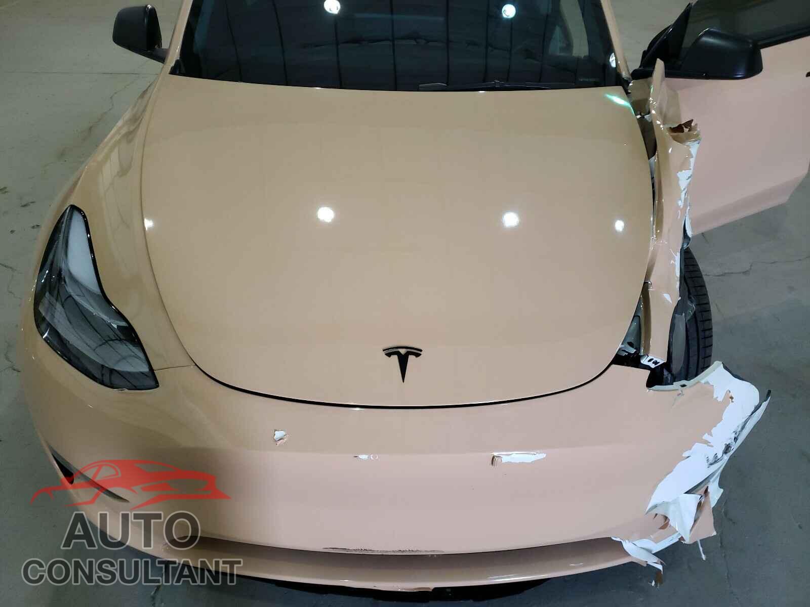 TESLA MODEL Y 2021 - 5YJYGDEF9MF151185