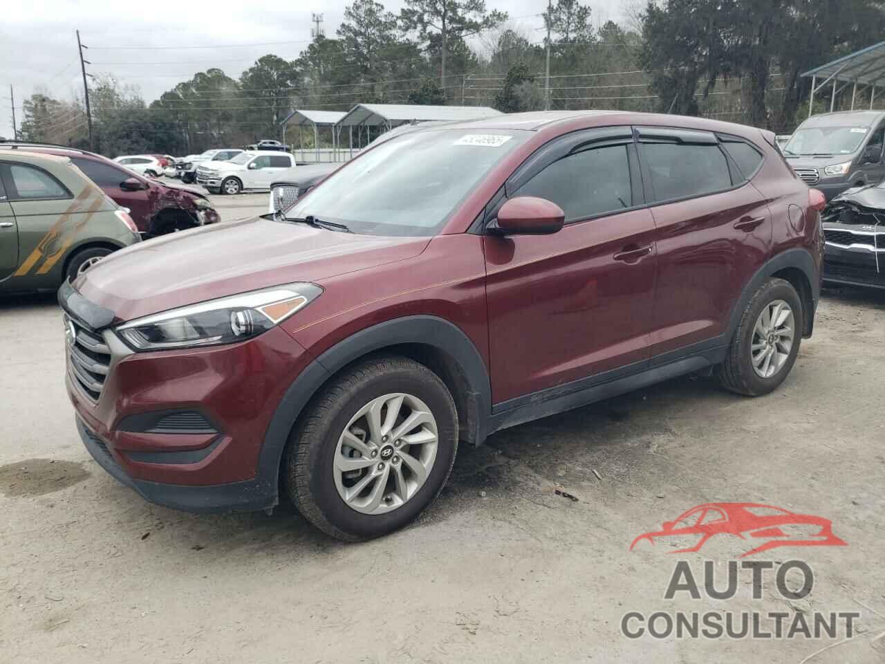 HYUNDAI TUCSON 2016 - KM8J23A45GU206639