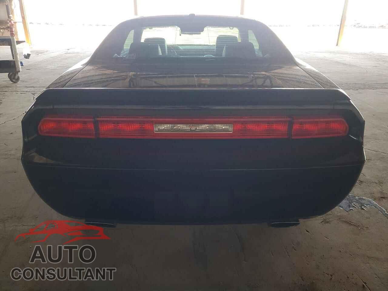 DODGE CHALLENGER 2009 - 2B3LJ54T59H546752