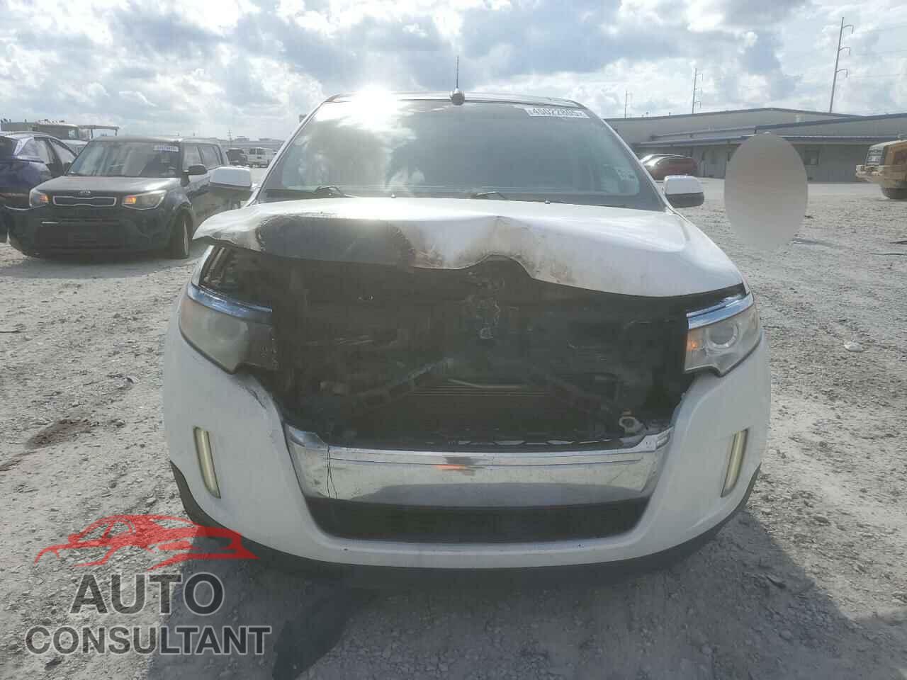 FORD EDGE 2011 - 2FMDK3KC9BBB53431