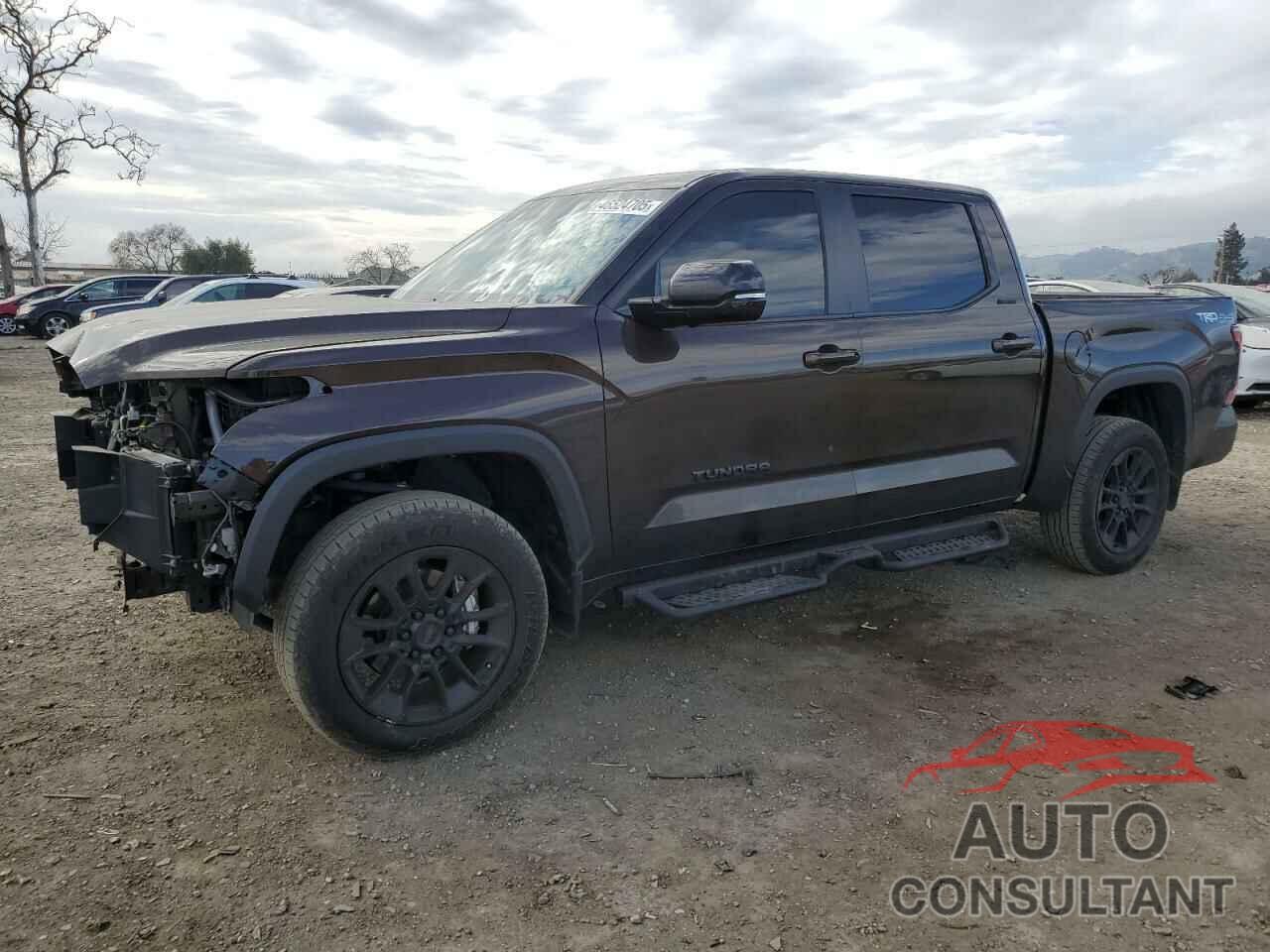 TOYOTA TUNDRA 2024 - 5TFWA5DB7RX153947