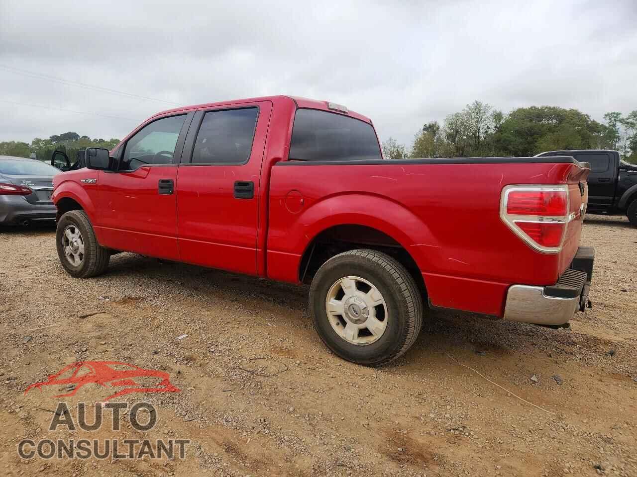 FORD F150 2011 - 1FTEW1CM2BKD31341