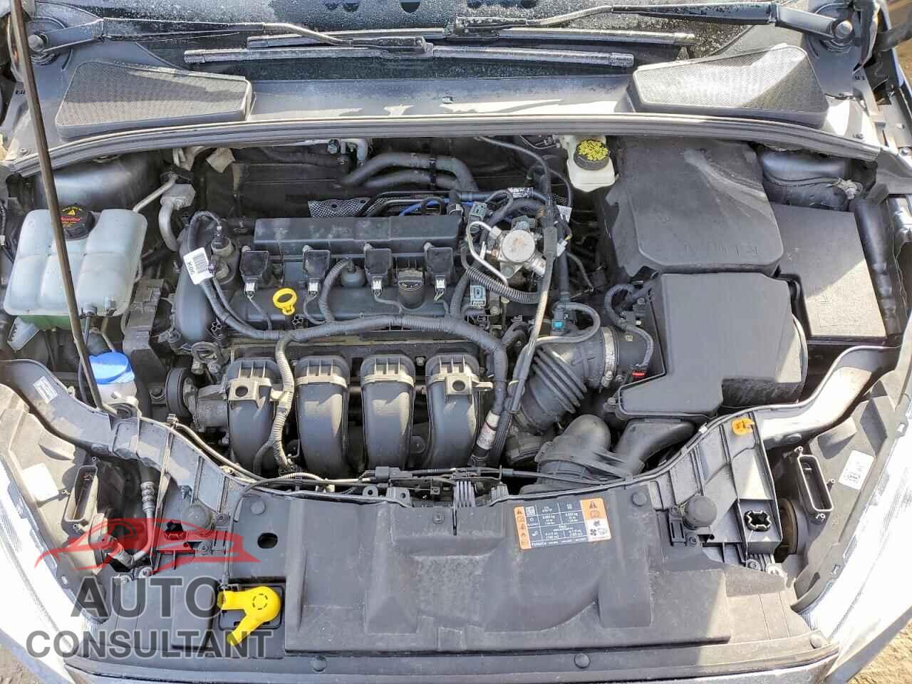 FORD FOCUS 2017 - 1FADP3N20HL292984