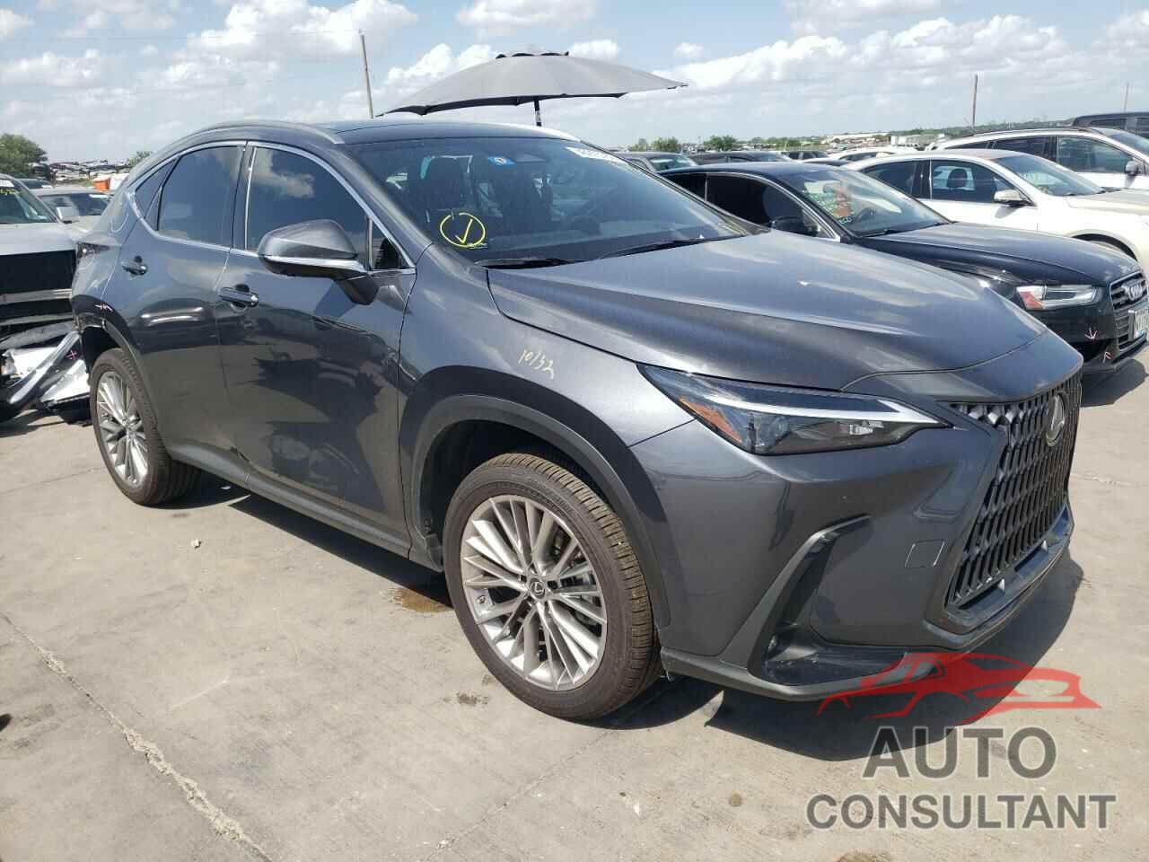 LEXUS NX 350 2022 - JTJHGCEZ4N5002798