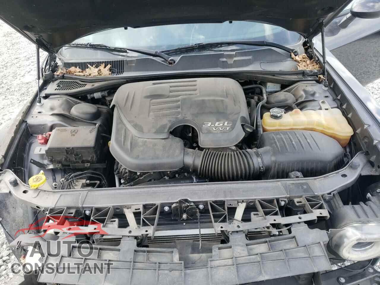 DODGE CHALLENGER 2019 - 2C3CDZAG3KH656438