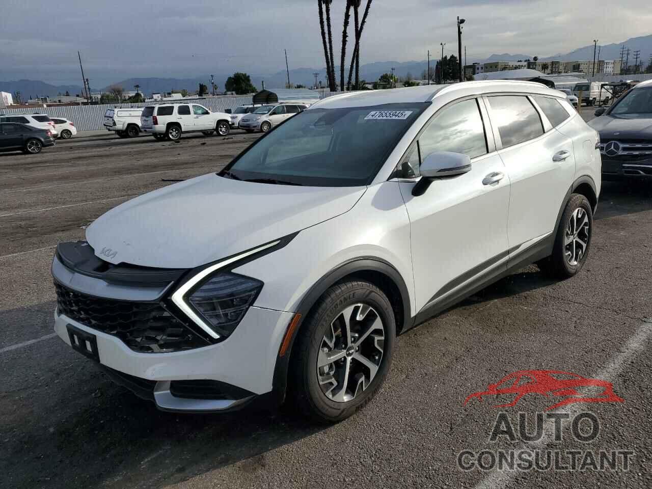 KIA SPORTAGE 2024 - KNDPVCDG0R7149876