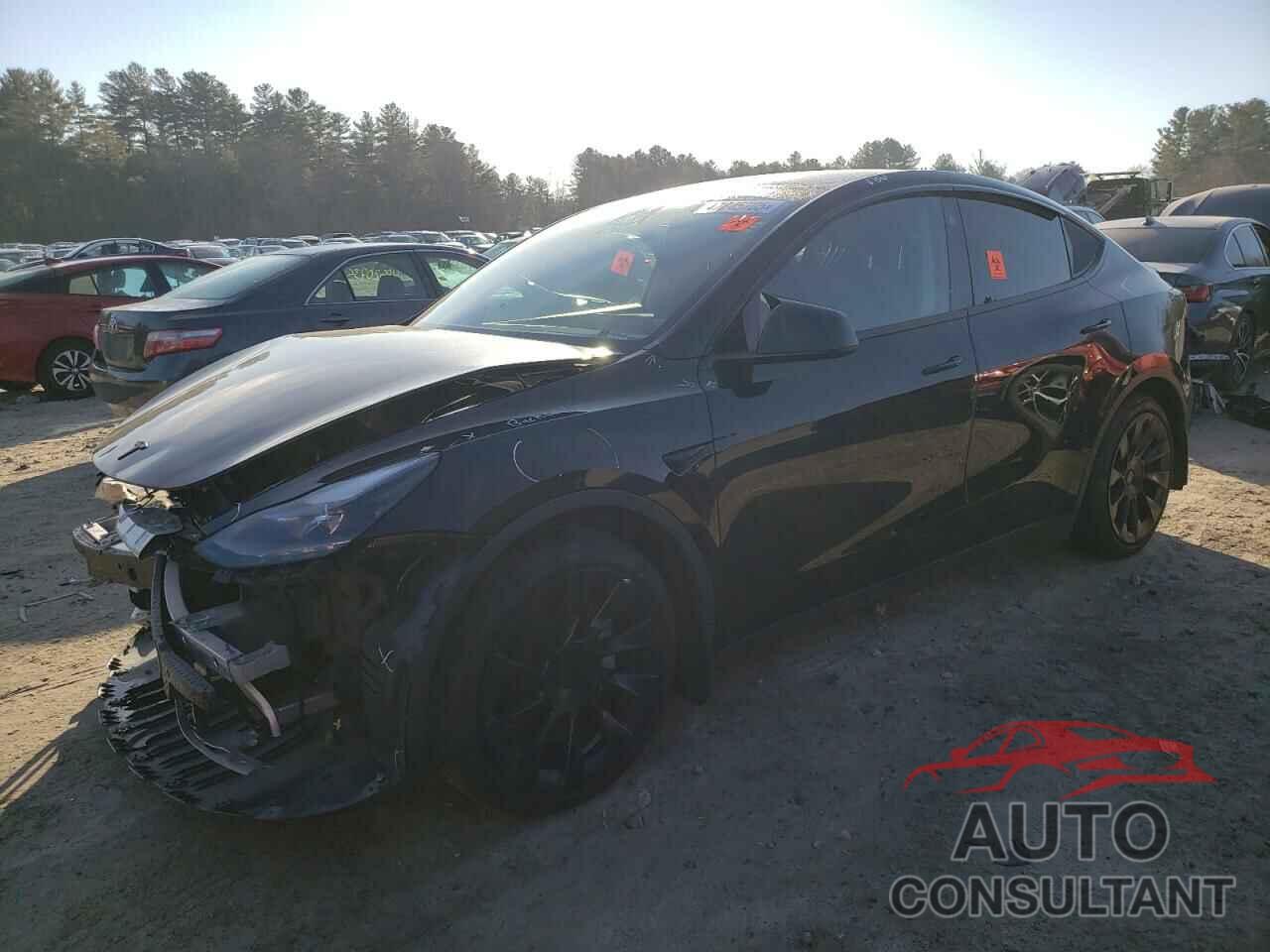 TESLA MODEL Y 2023 - 7SAYGAEE2PF928254