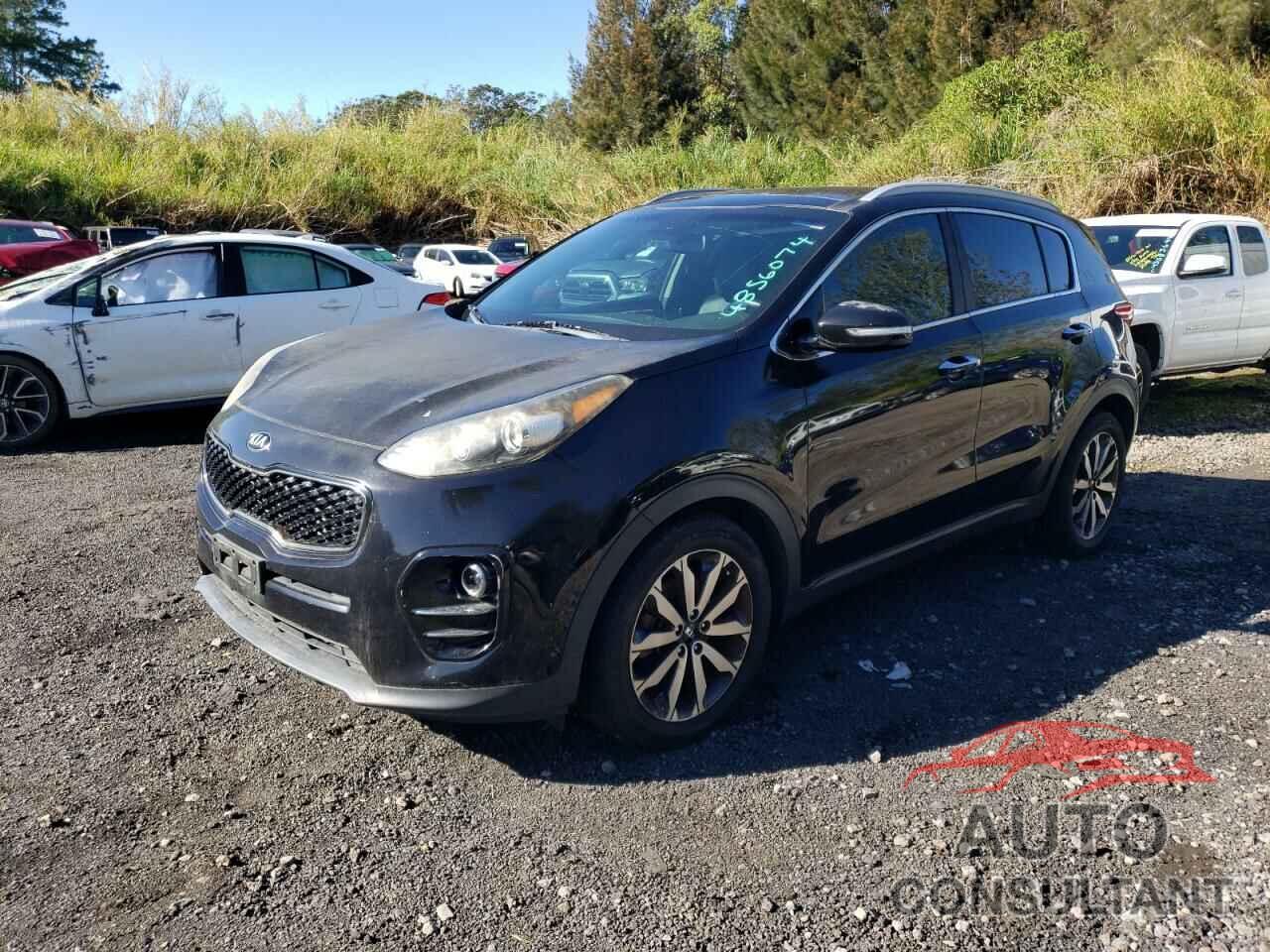 KIA SPORTAGE 2017 - KNDPN3AC5H7155141