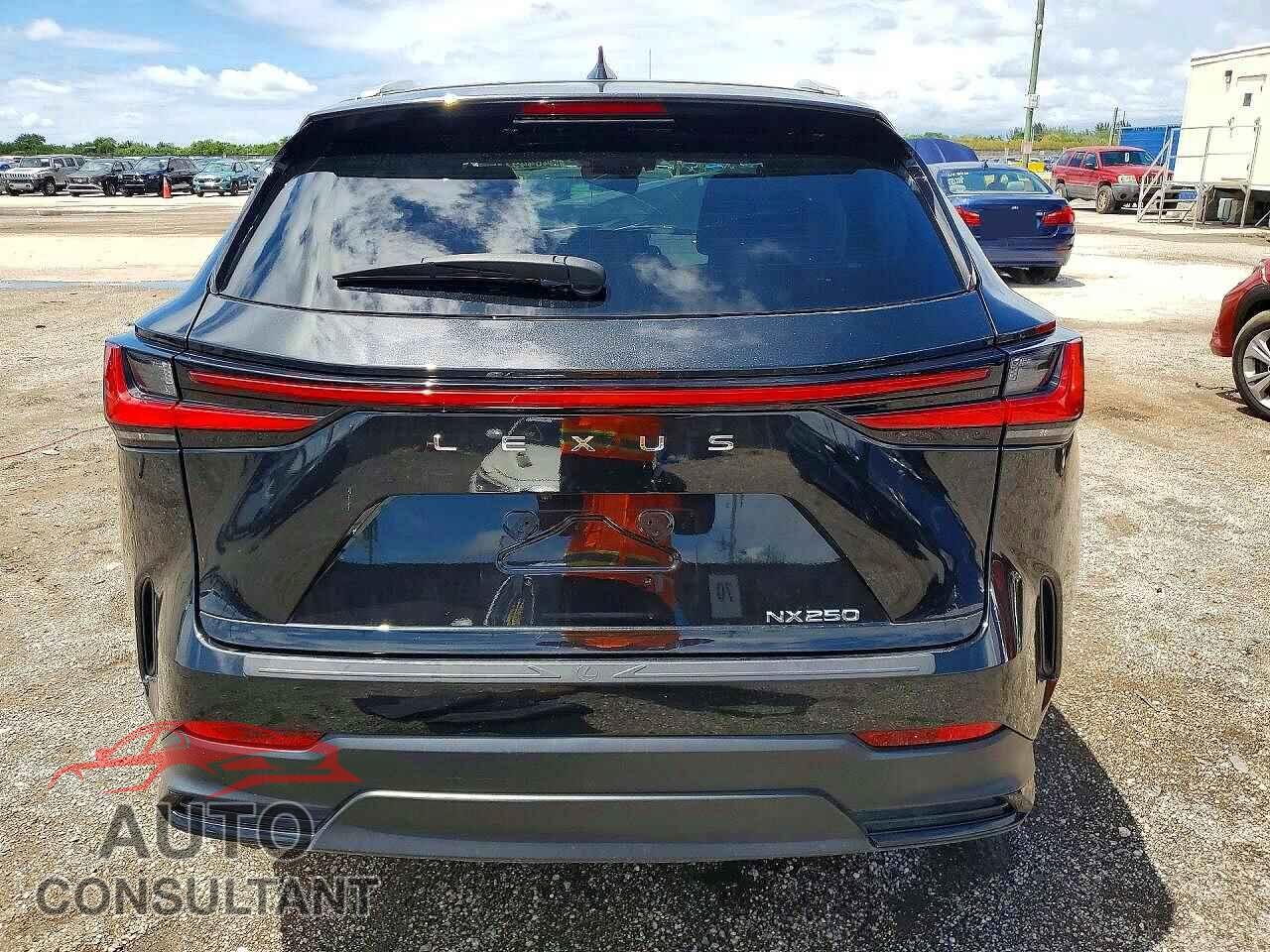 LEXUS NX 2024 - 2T2ADCAZ2RC010874