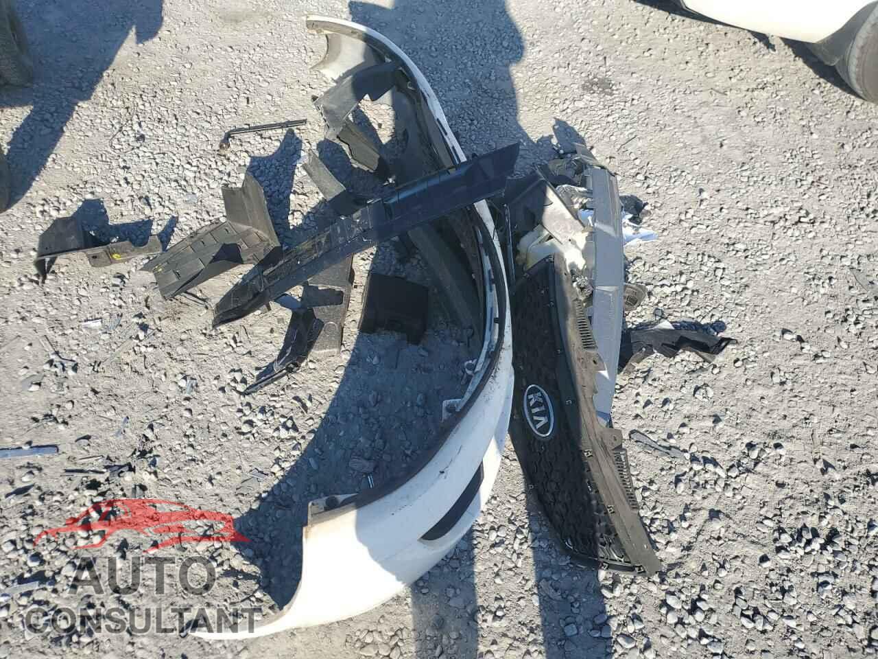 KIA FORTE 2012 - KNAFU4A28C5582049