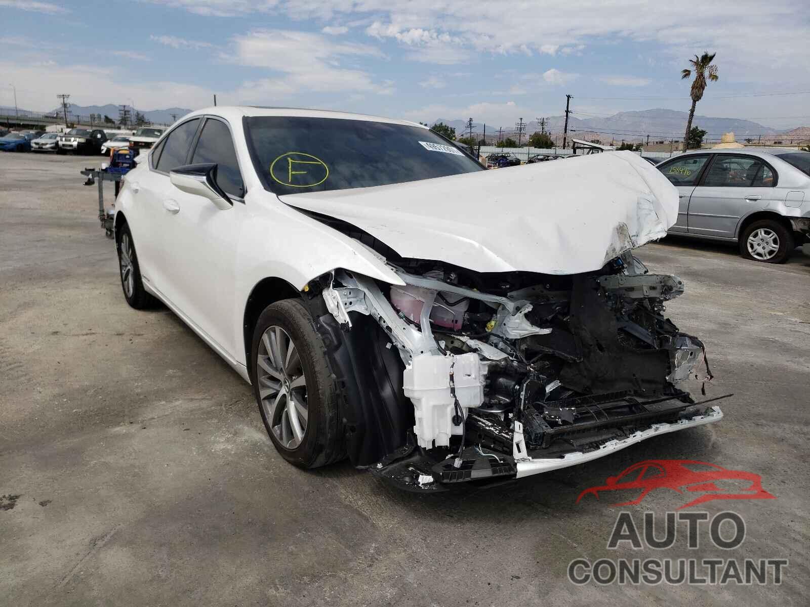 LEXUS ES300 2021 - 58ACA1C16MU004917