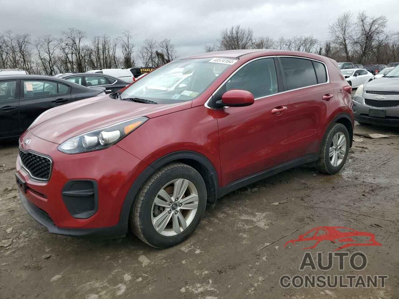 KIA SPORTAGE 2017 - KNDPM3AC6H7159945