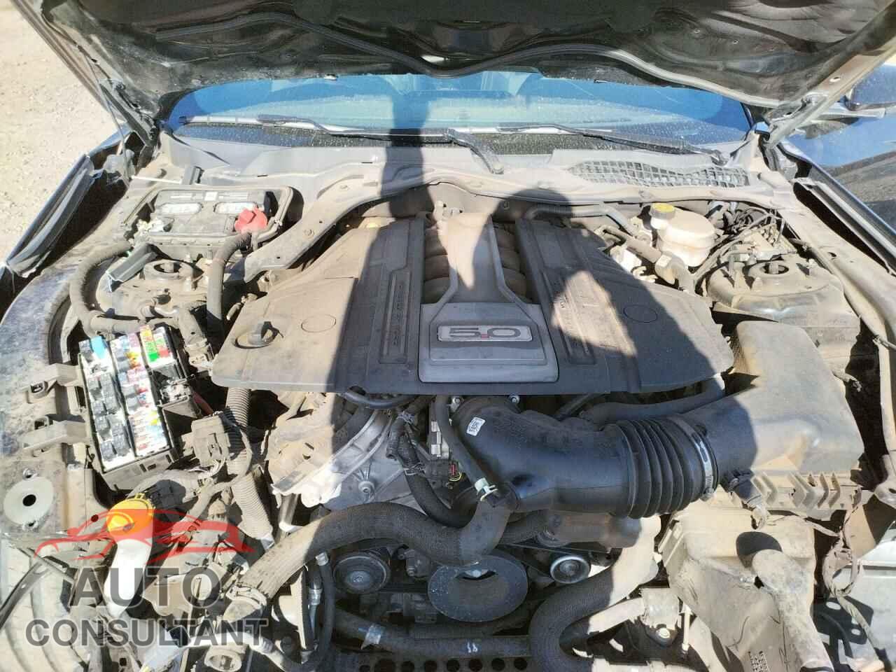 FORD MUSTANG 2019 - 1FA6P8CF2K5115389