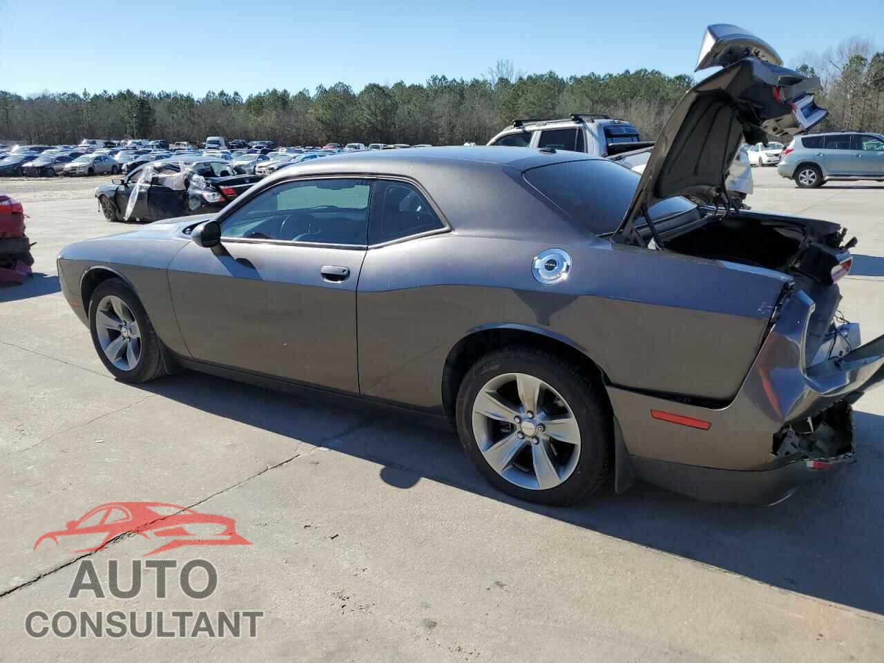 DODGE CHALLENGER 2019 - 2C3CDZAG5KH731494