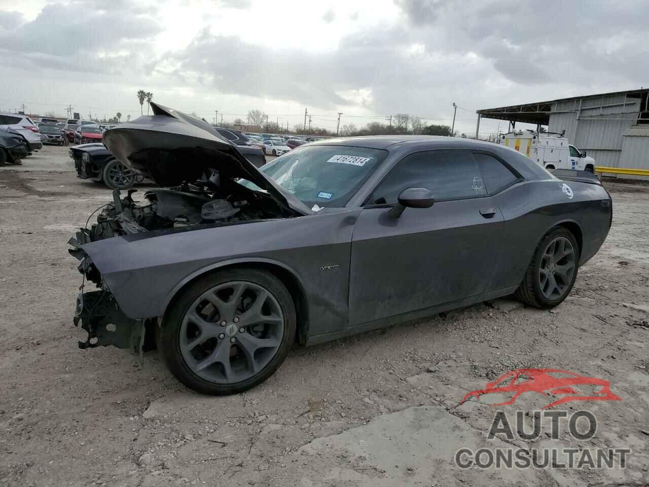 DODGE CHALLENGER 2019 - 2C3CDZBT7KH524441