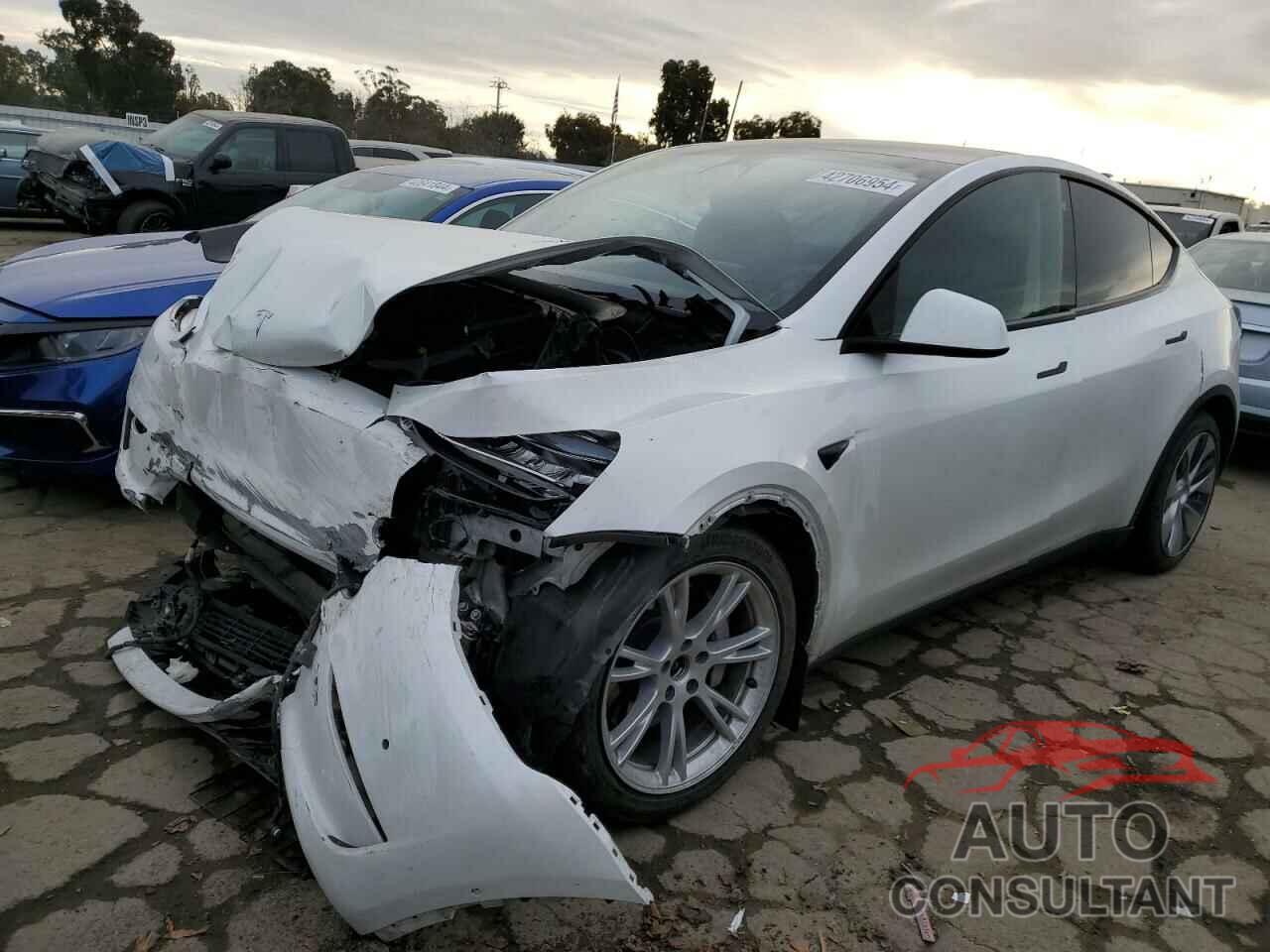 TESLA MODEL Y 2021 - 5YJYGAEE8MF160143