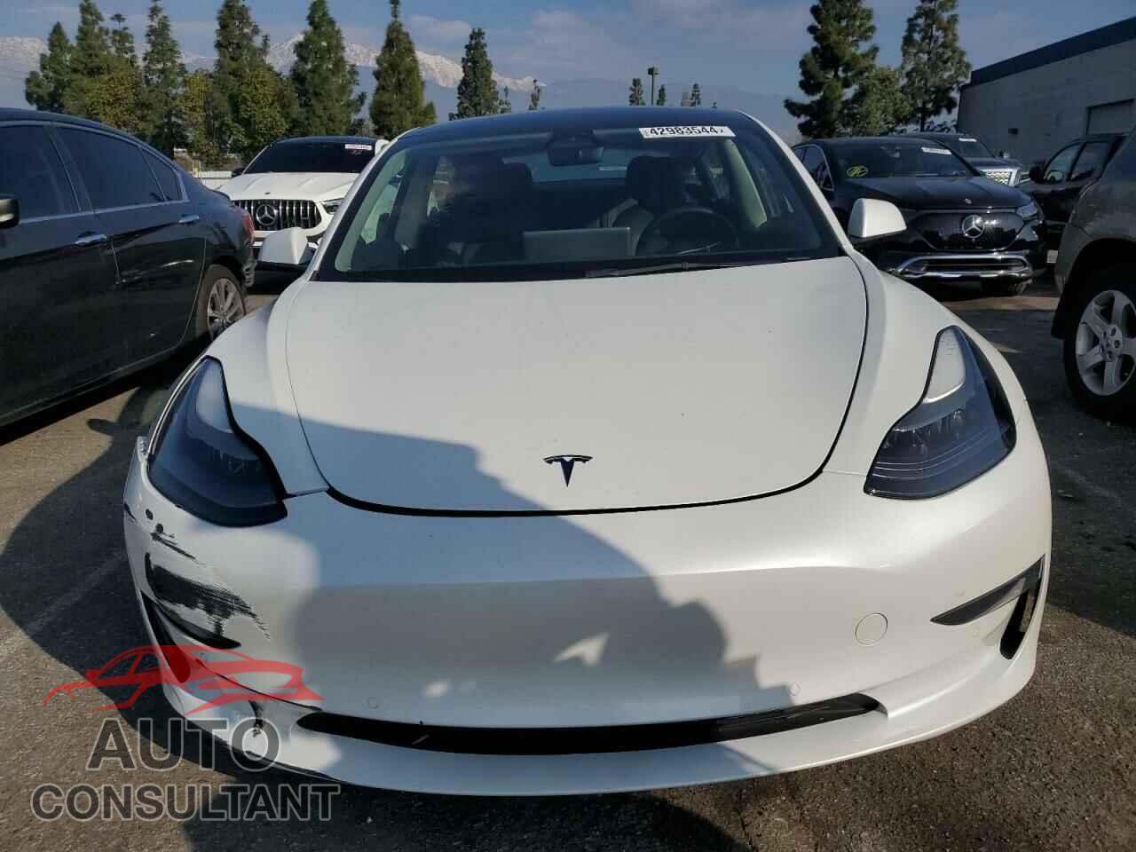 TESLA MODEL 3 2022 - 5YJ3E1EBXNF179414