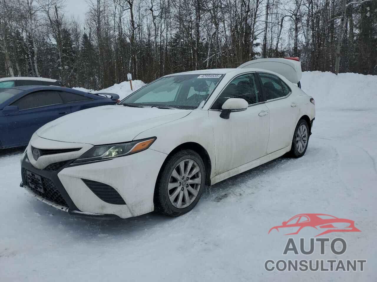 TOYOTA CAMRY 2020 - 4T1G11AK2LU985489