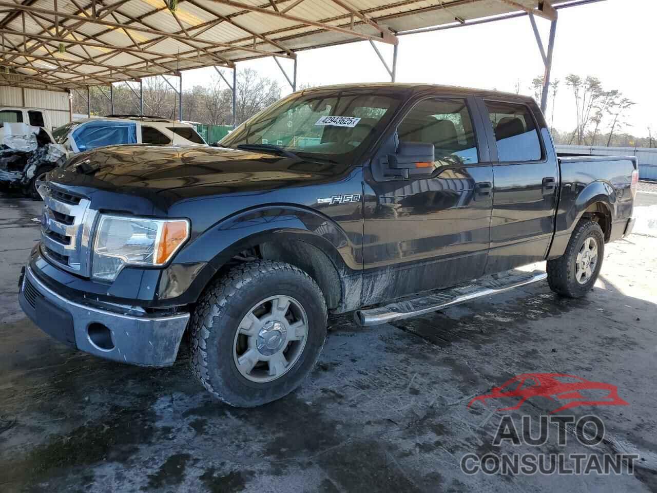 FORD F-150 2010 - 1FTFW1CV1AFA55822