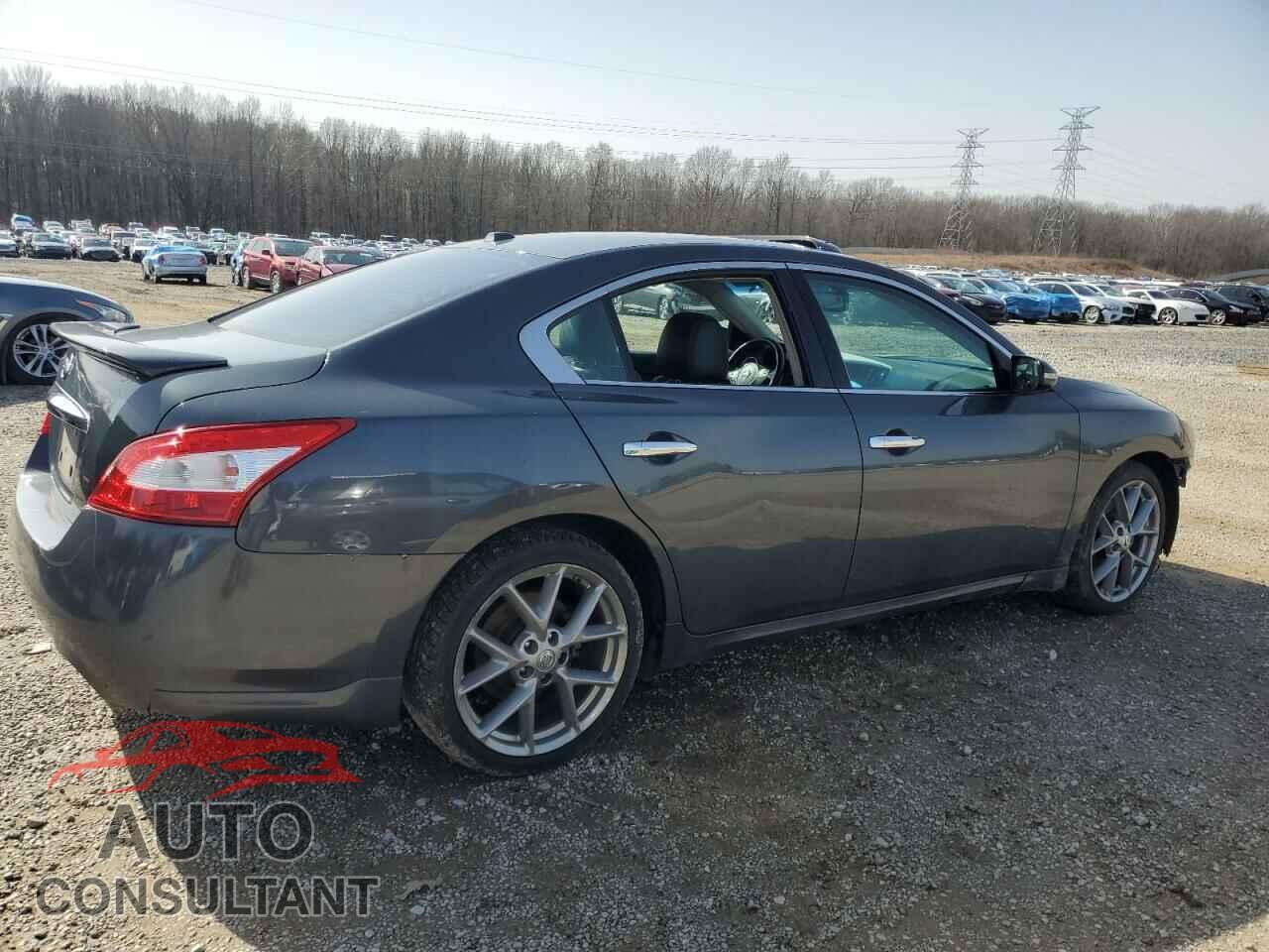 NISSAN MAXIMA 2011 - 1N4AA5AP7BC844747