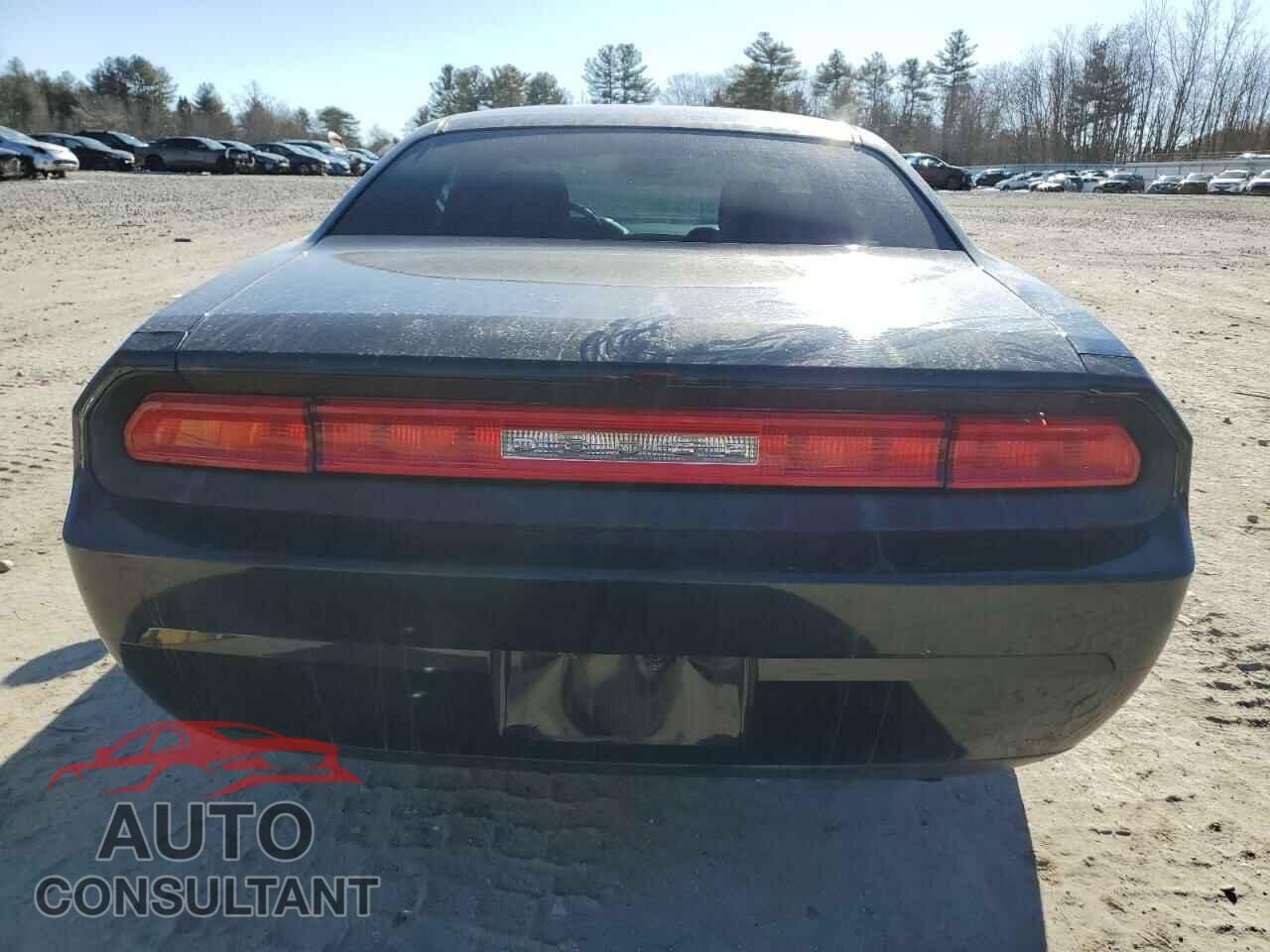 DODGE CHALLENGER 2010 - 2B3CJ4DV2AH166736