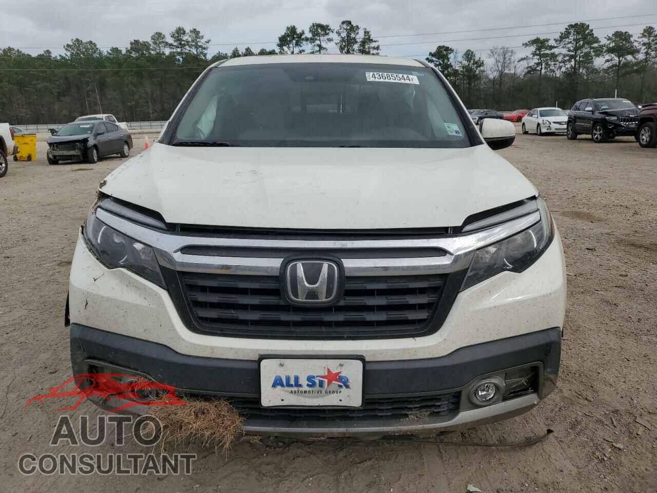 HONDA RIDGELINE 2019 - 5FPYK3F71KB000491