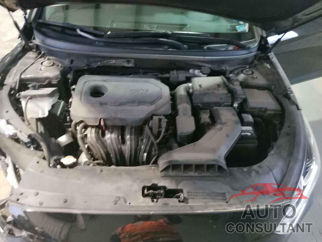 HYUNDAI SONATA 2019 - 5NPE24AF9KH755891