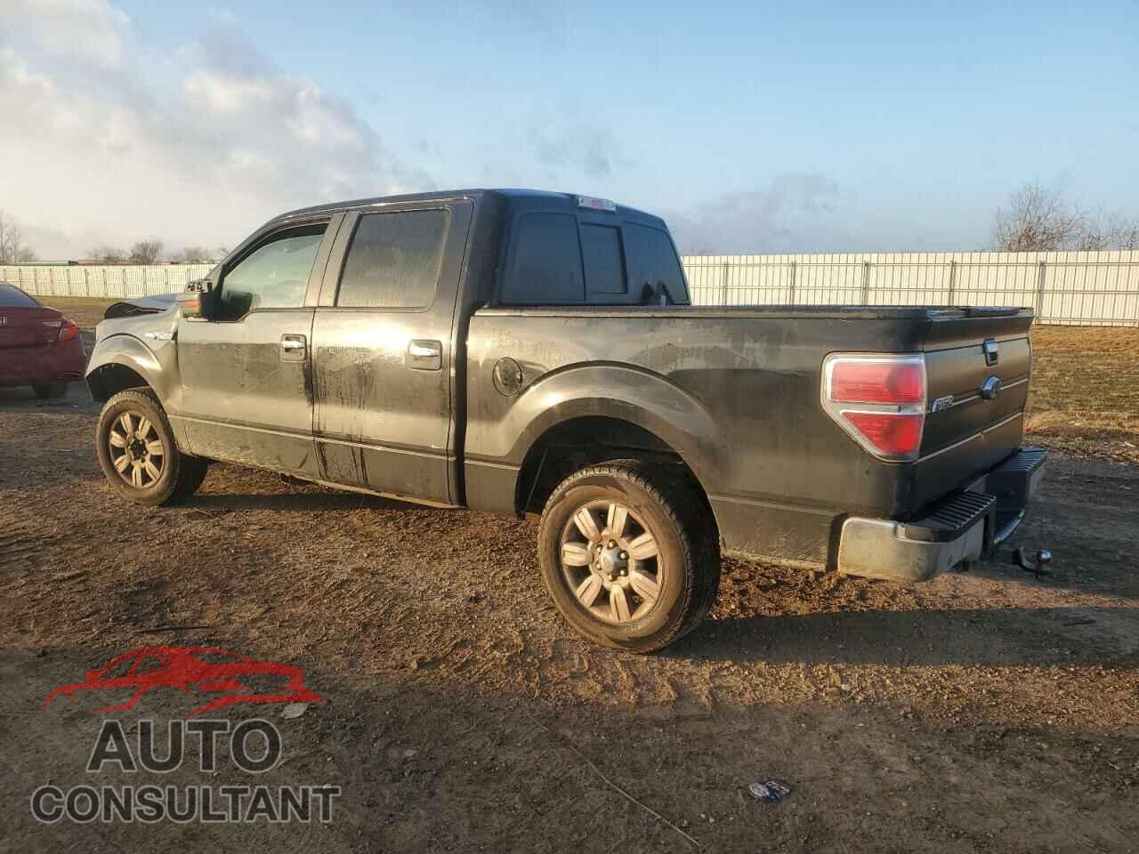 FORD F-150 2009 - 1FTRW12819FA27880