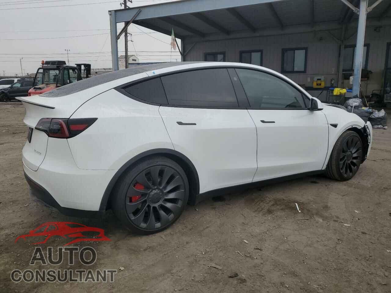 TESLA MODEL Y 2024 - 7SAYGDEF8RF113876