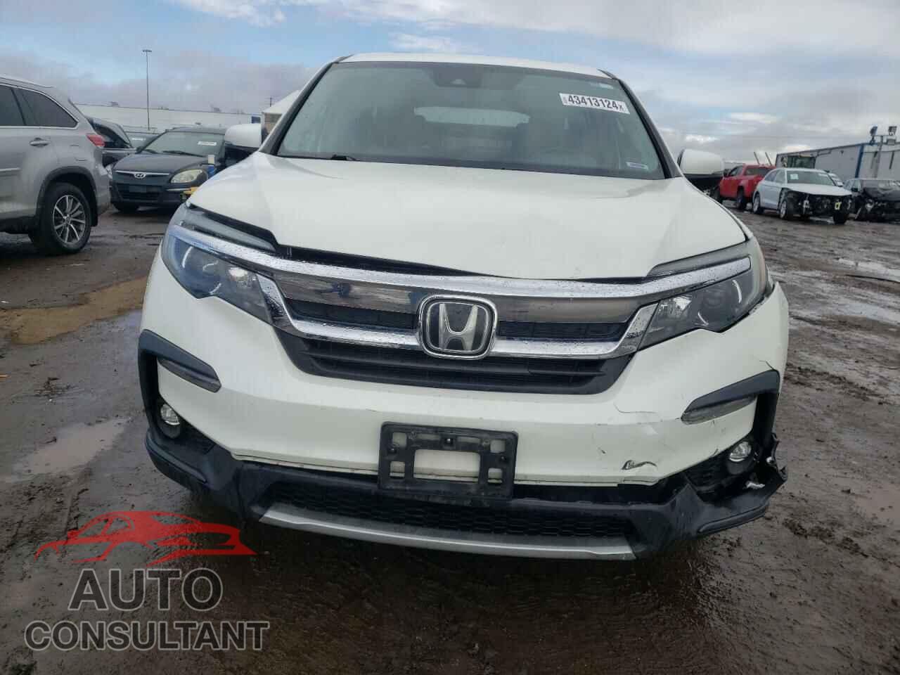 HONDA PILOT 2019 - 5FNYF6H55KB010015