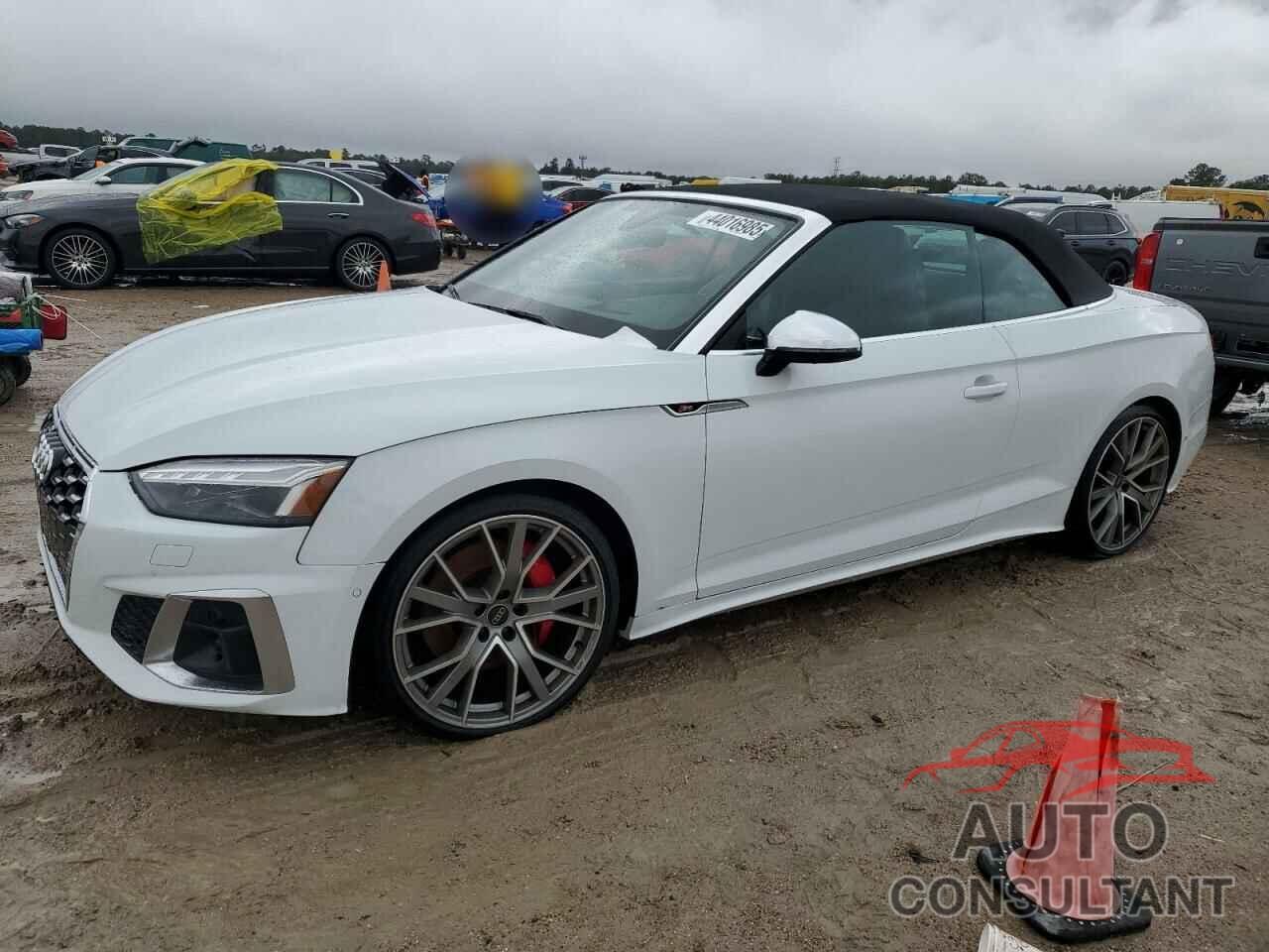 AUDI S5/RS5 2024 - WAUY4GF58RN002675