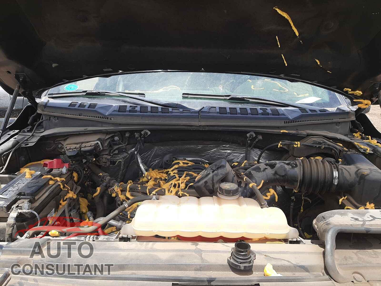 FORD F150 2017 - 1FTEW1EF0HFB27010