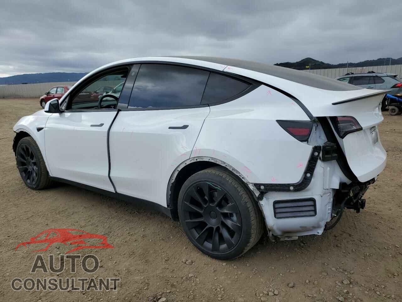 TESLA MODEL Y 2021 - 5YJYGDEE0MF162101