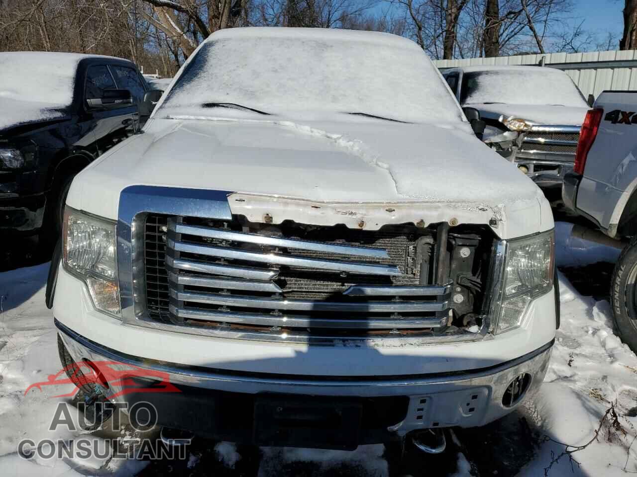 FORD F-150 2012 - 1FTFX1EF0CFC66595