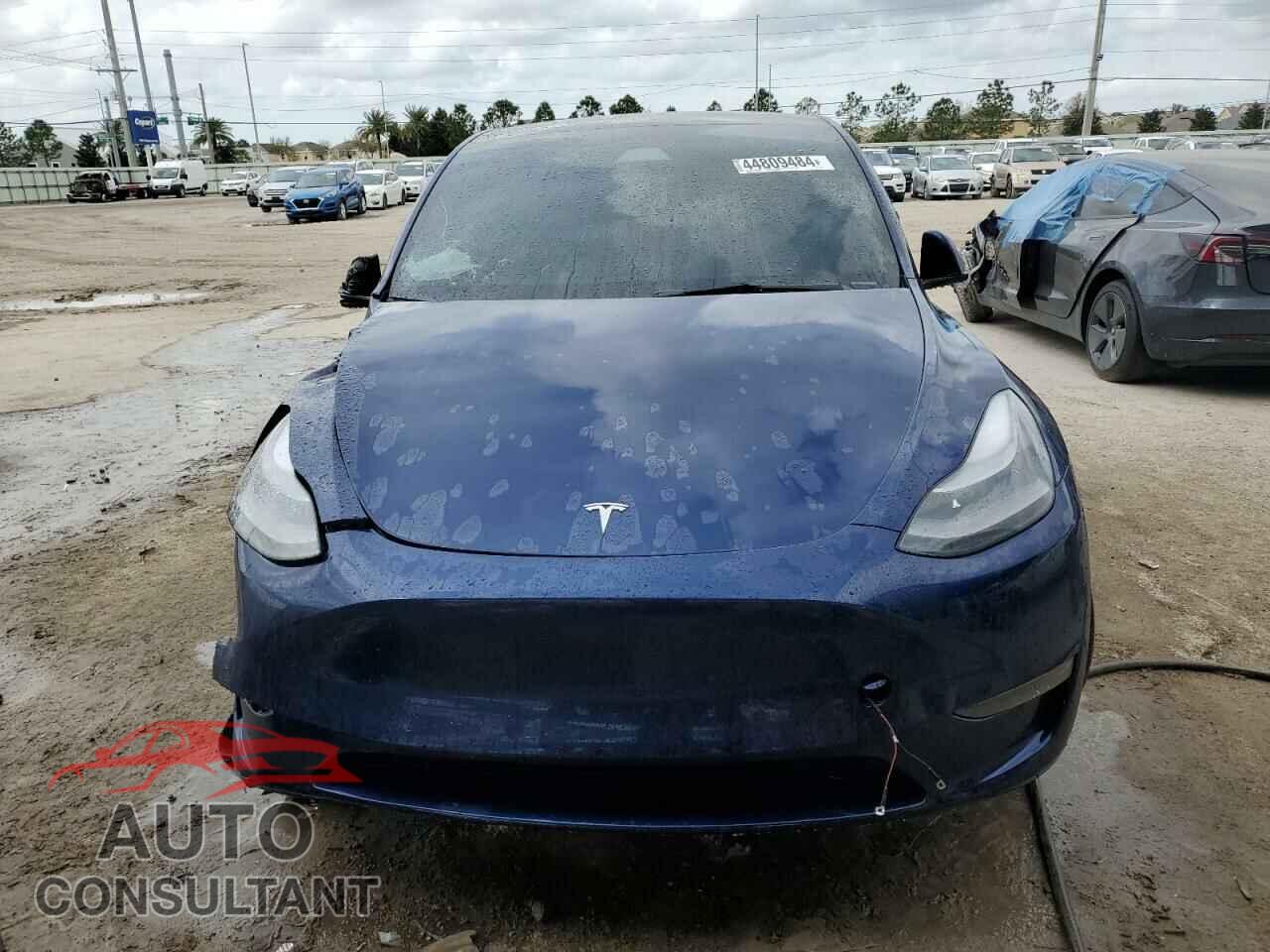 TESLA MODEL Y 2023 - 7SAYGAEE3PF847182
