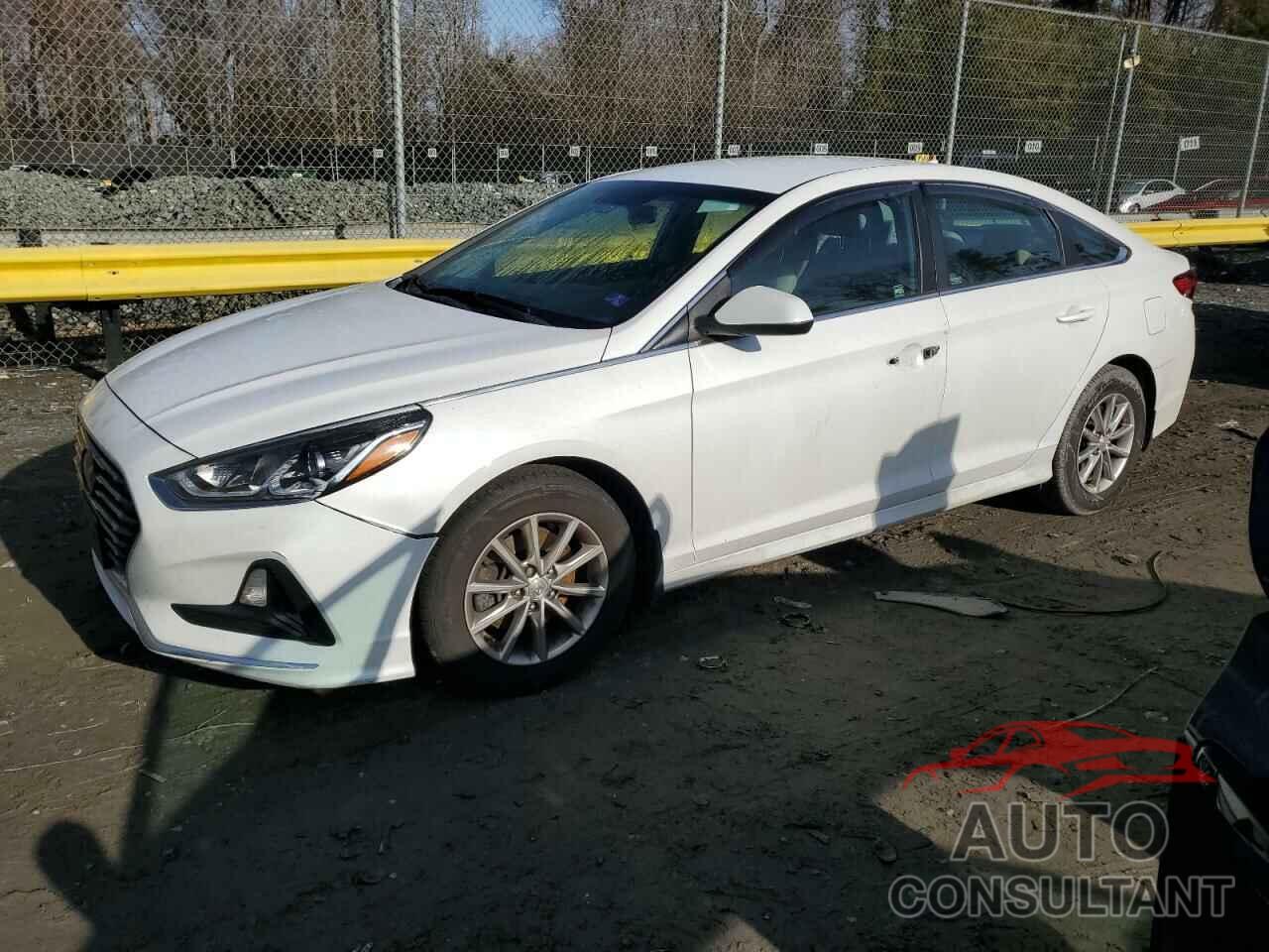 HYUNDAI SONATA 2019 - 5NPE24AF1KH800211