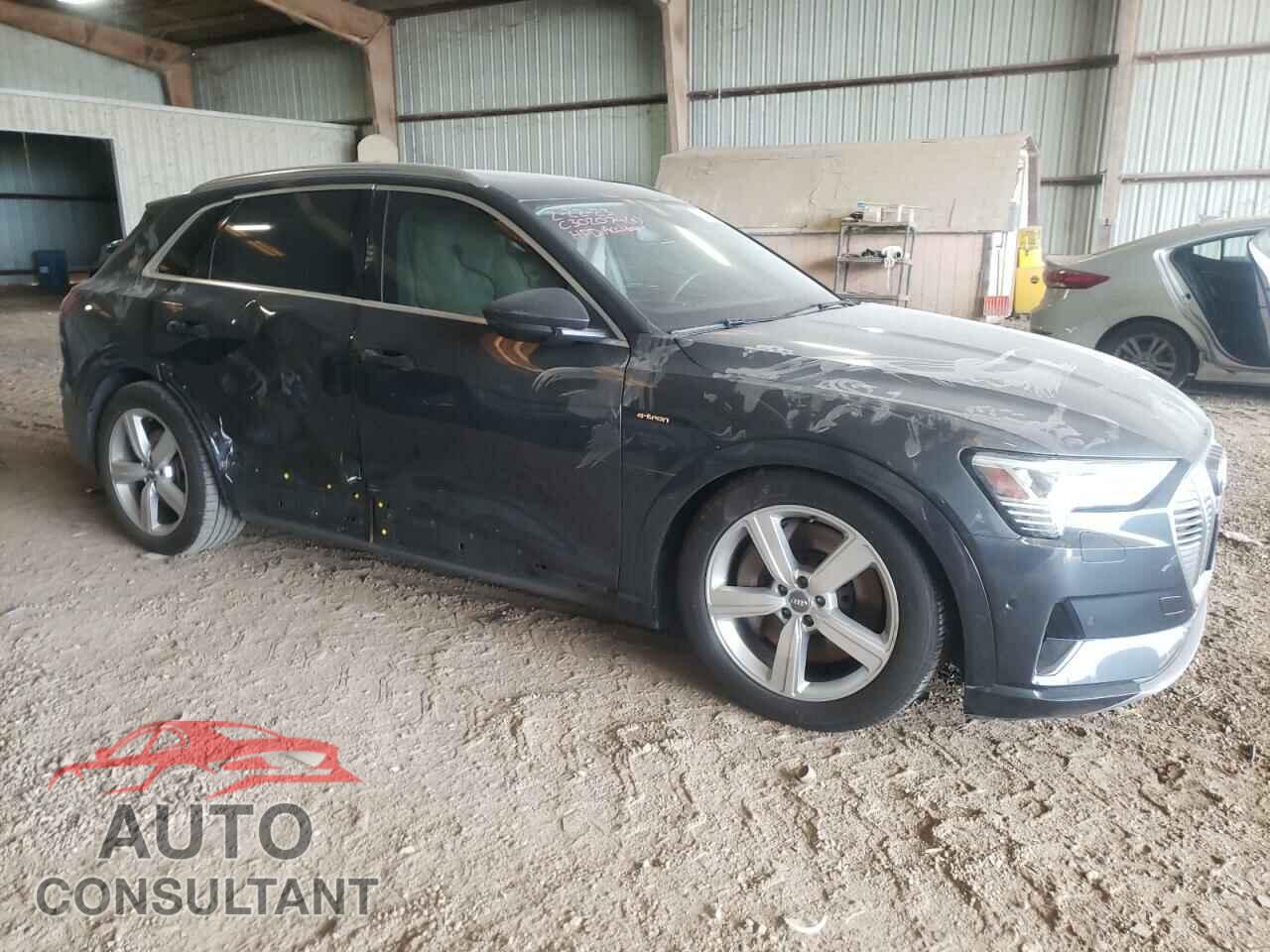 AUDI E-TRON 2019 - WA1LABGE4KB013178
