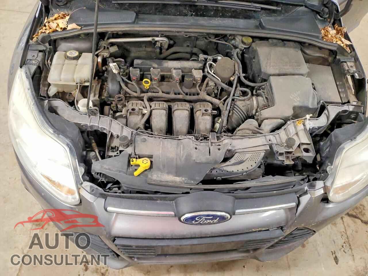 FORD FOCUS 2014 - 1FADP3K2XEL407266