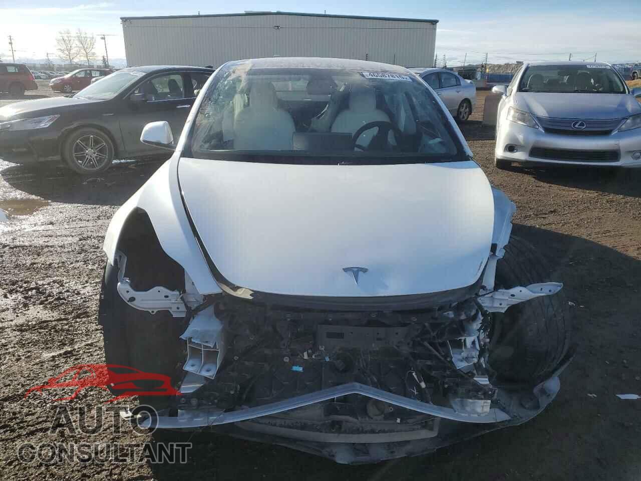 TESLA MODEL 3 2021 - 5YJ3E1EC4MF050592