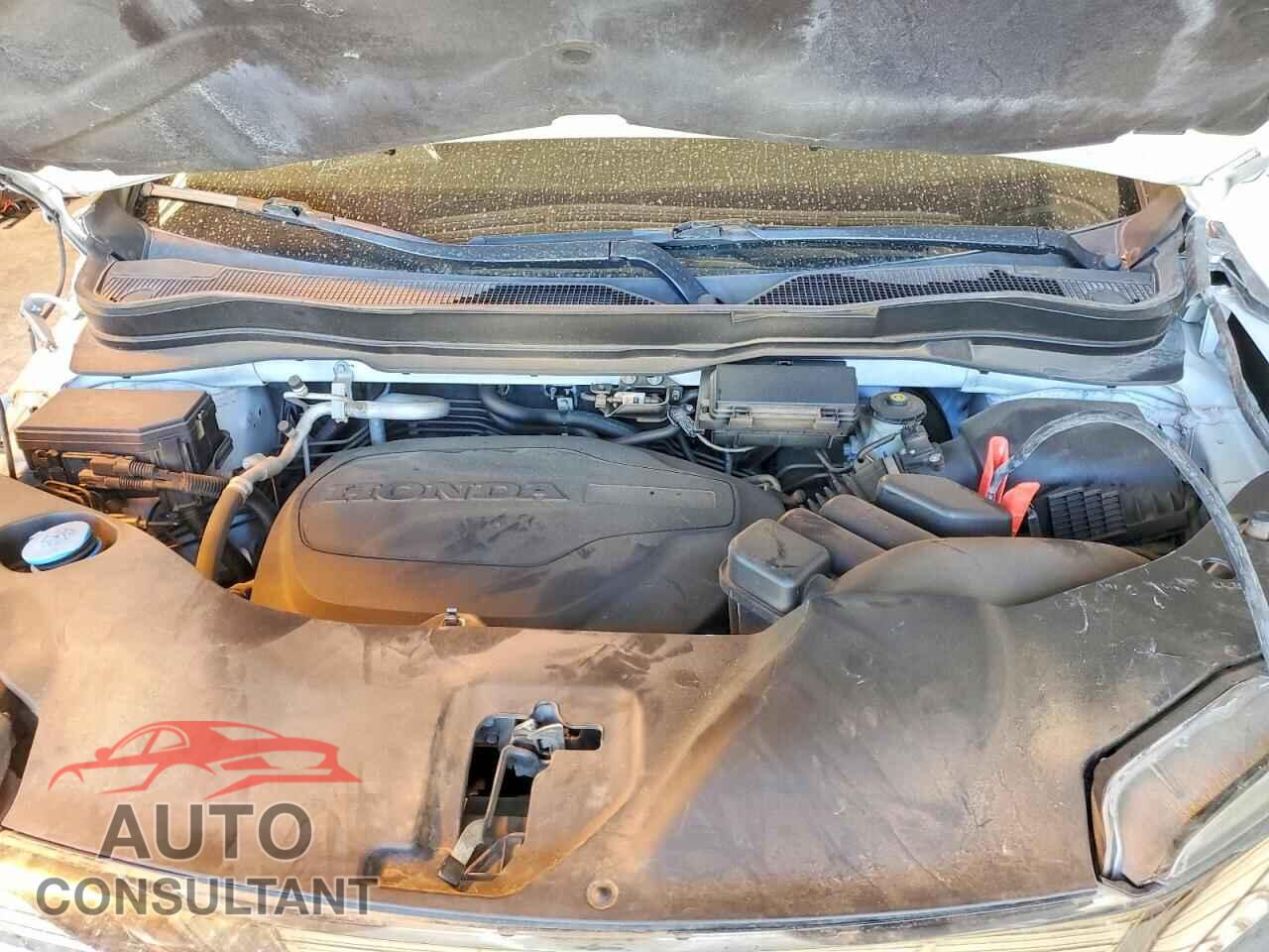 HONDA PILOT 2021 - 5FNYF5H91MB014174