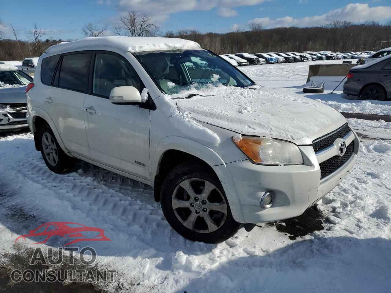 TOYOTA RAV4 2011 - 2T3DF4DVXBW153819