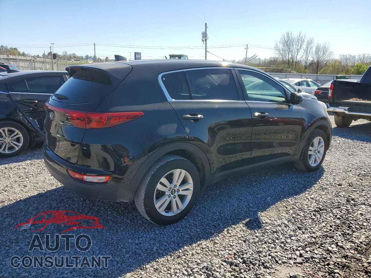 KIA SPORTAGE 2019 - KNDPM3AC5K7626344