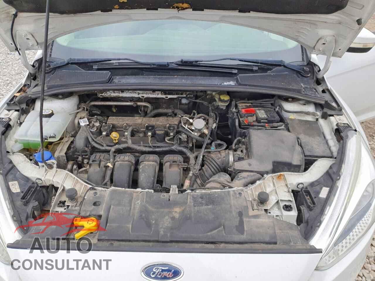 FORD FOCUS 2016 - 1FADP3K27GL294797