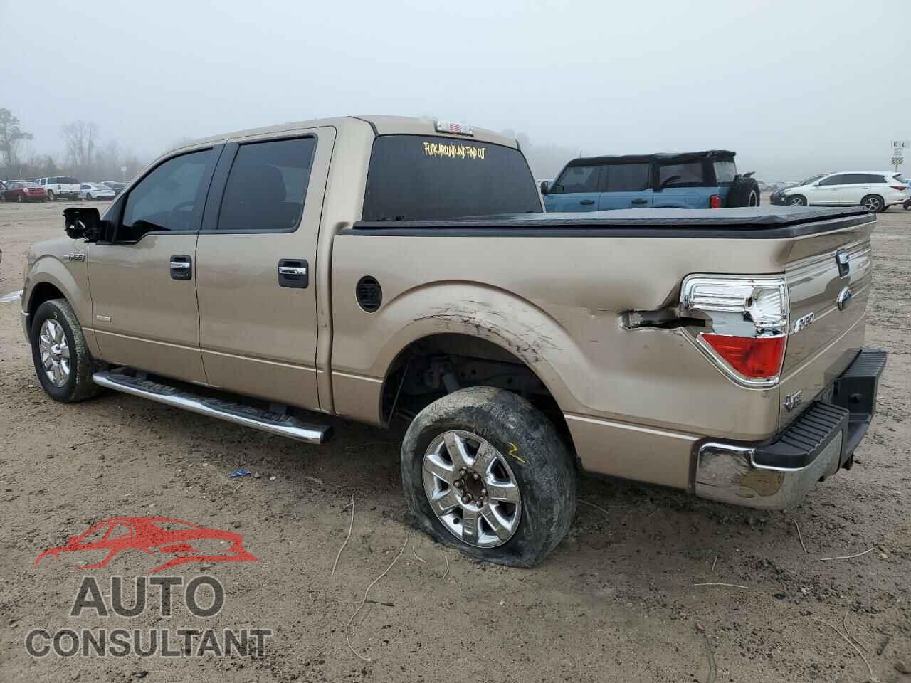 FORD F-150 2013 - 1FTFW1CT2DKD80036