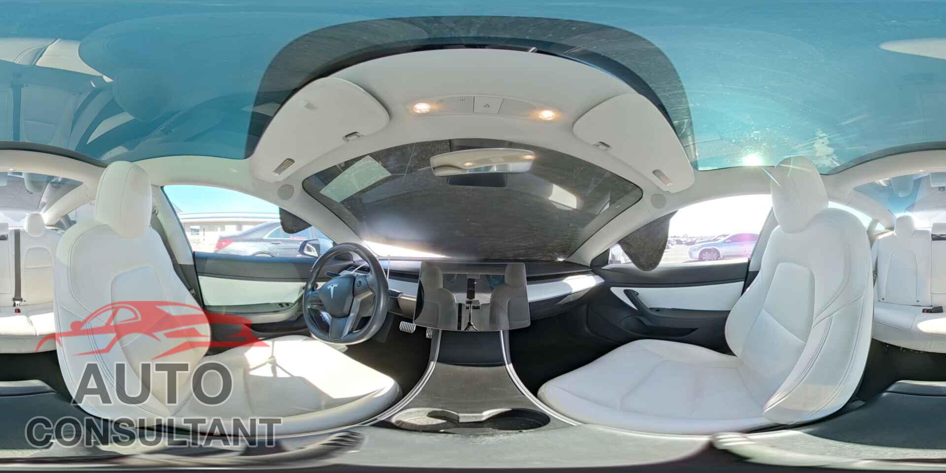 TESLA MODEL 3 2019 - 5YJ3E1EA3KF302019