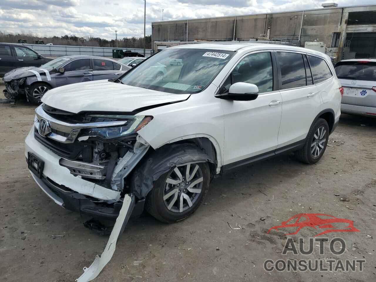 HONDA PILOT 2019 - 5FNYF6H59KB072677