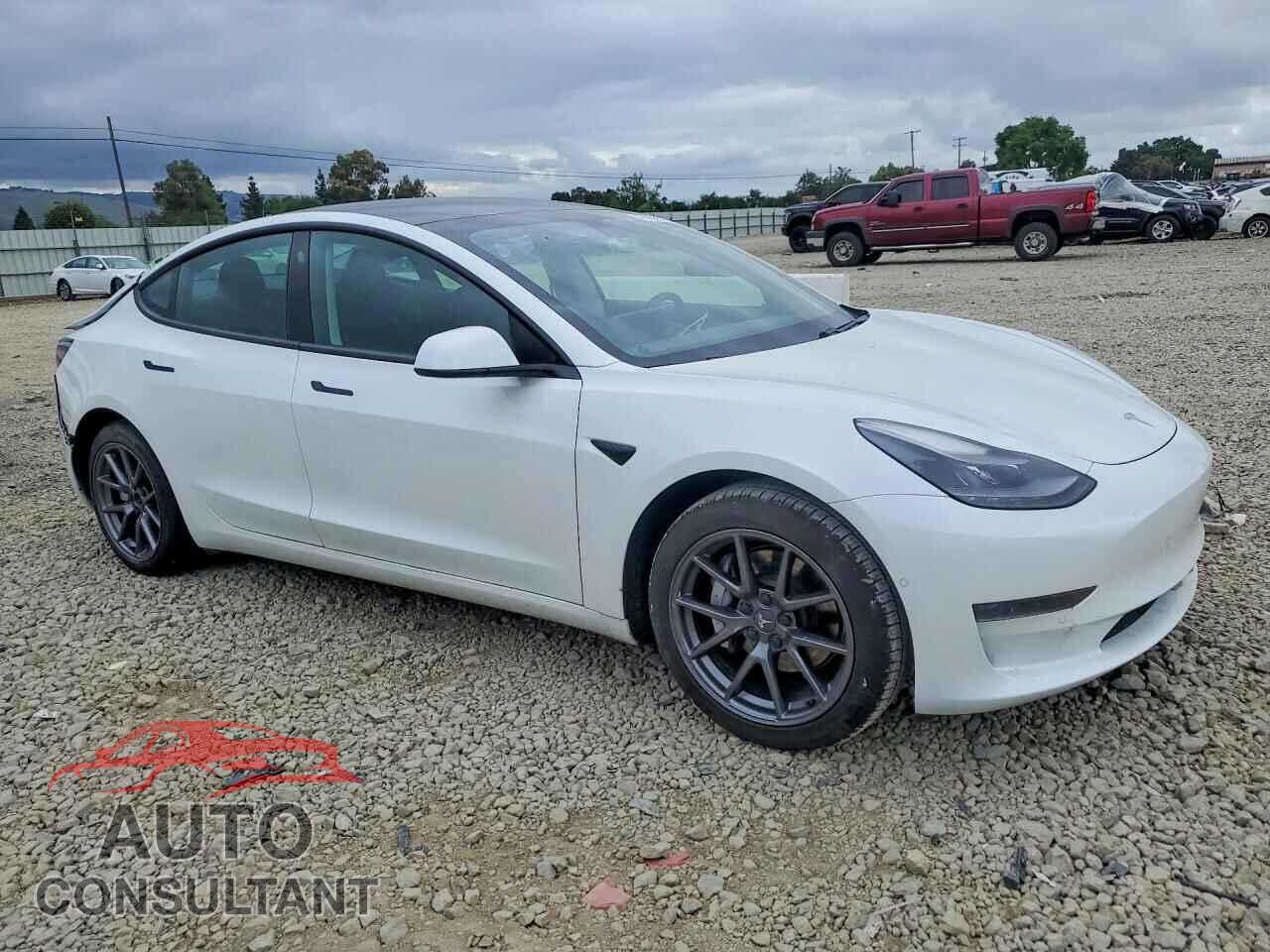 TESLA MODEL 3 2021 - 5YJ3E1EA2MF079345