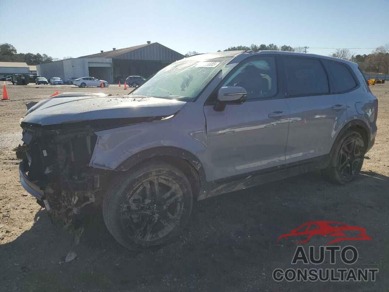 KIA TELLURIDE 2024 - 5XYP5DGC9RG455959